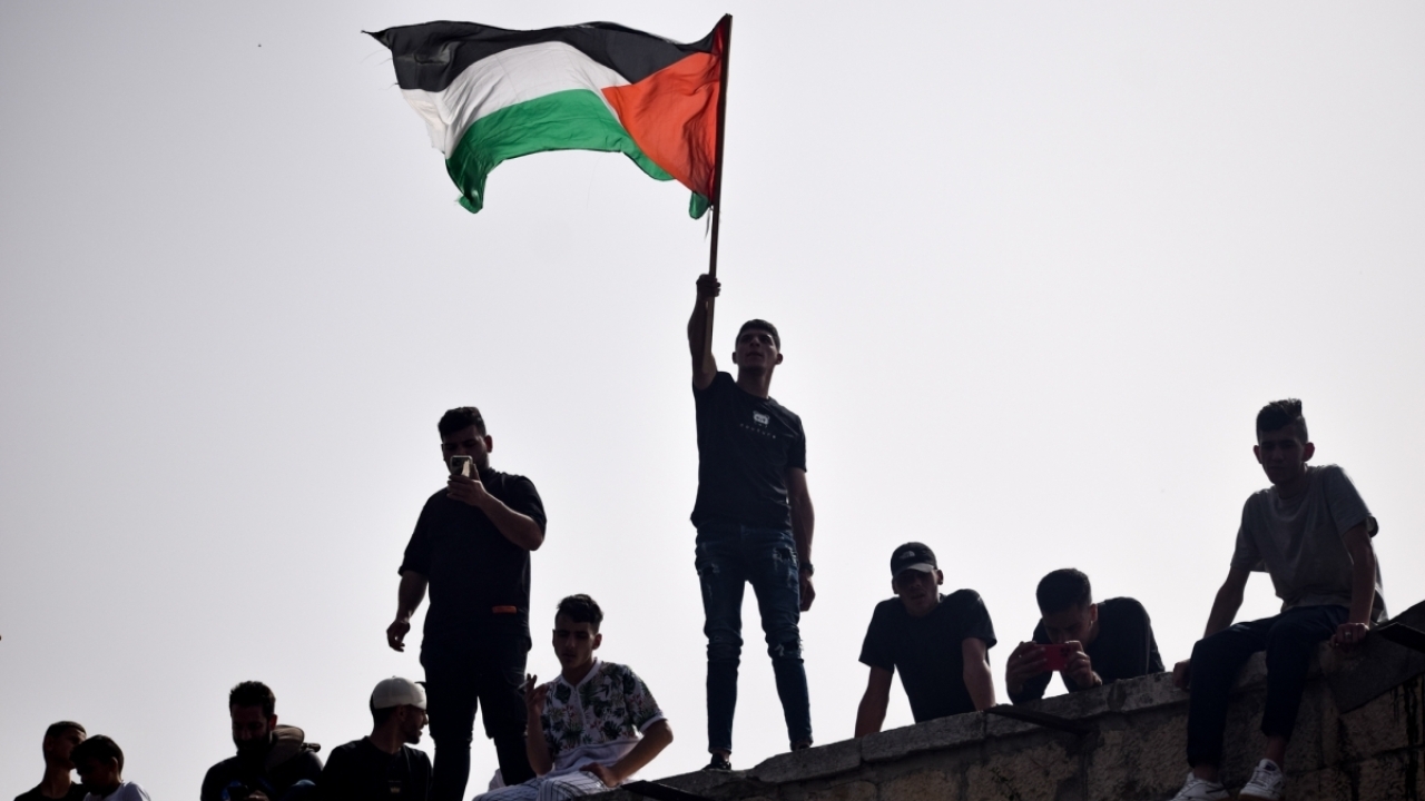 La Rencontre de "Freedom for Palestine 🌍✨"